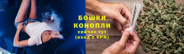 МДПВ Елабуга