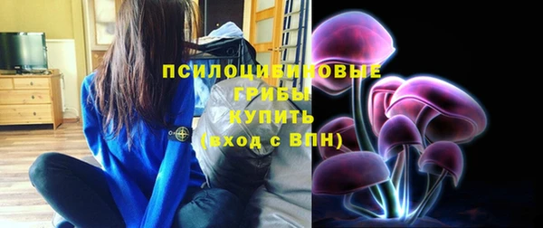 мескалин Елизово