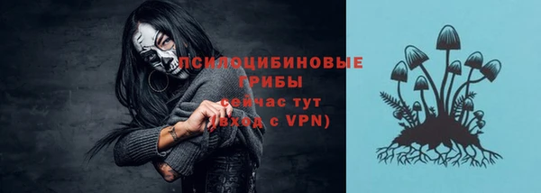 мескалин Елизово