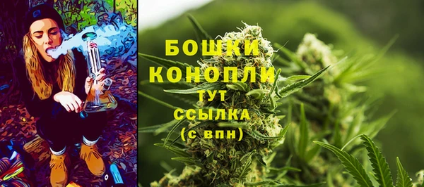 МДПВ Елабуга