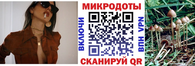 Галлюциногенные грибы GOLDEN TEACHER  Купить  Невель 